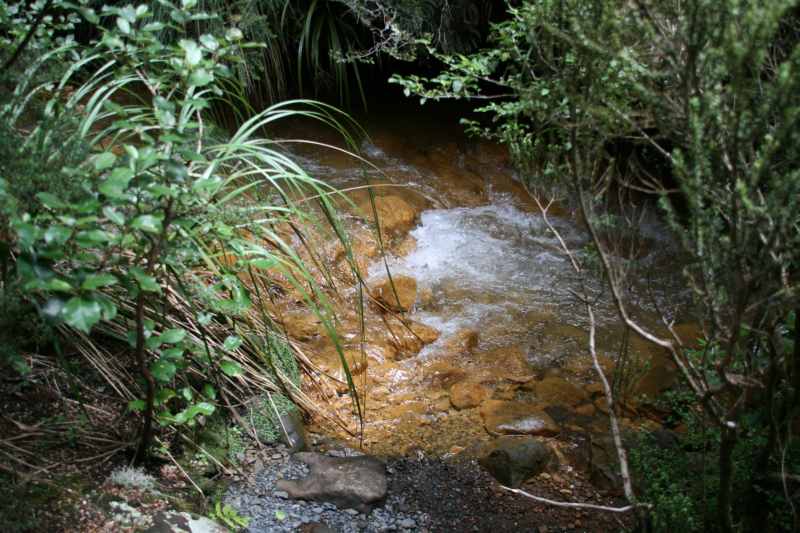 Nieuw-Zeeland 2011 - 0822